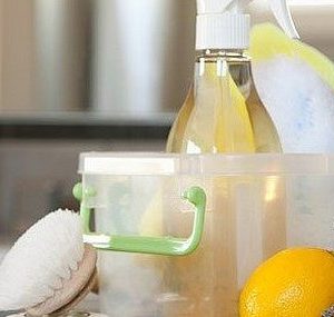 Clean the Stubborn Stains from your Driveway by using Household Products!